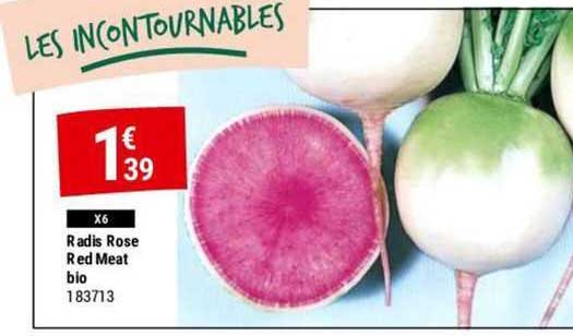 radis rose red meat bio