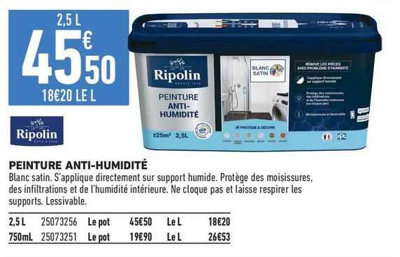 ripolin peinture anti-humidité