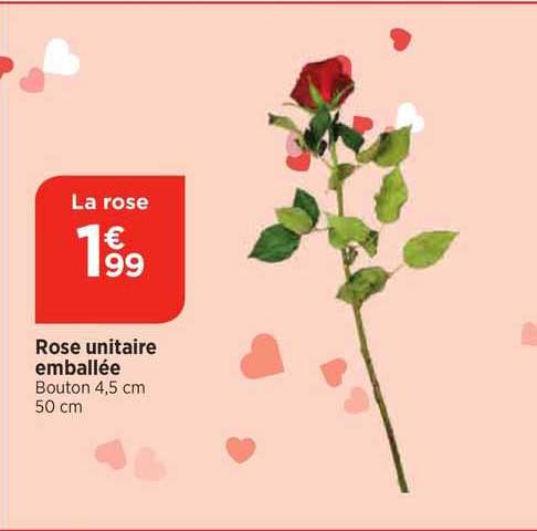 rose unitaire emballée