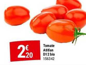 Tomte Atitian D12 Bio