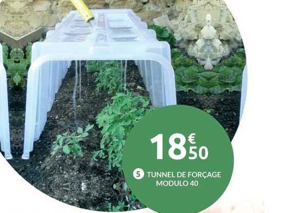 tunnel de forçage modulo 40