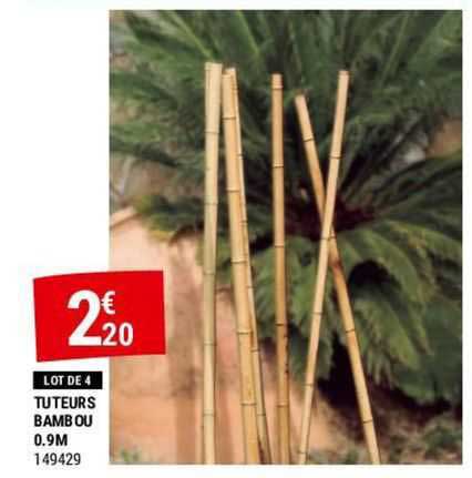 tuteurs bambou 0.9m