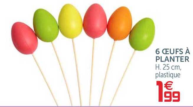 6 Oeufs à Planter