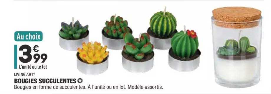 Bougies Succulentes Living Art