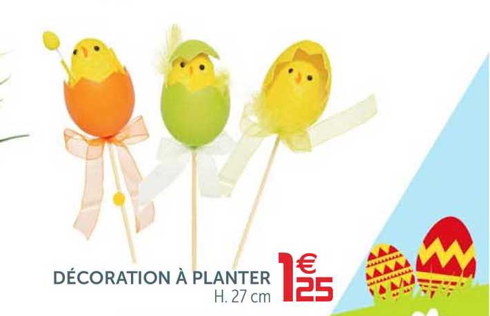 décoration à planter