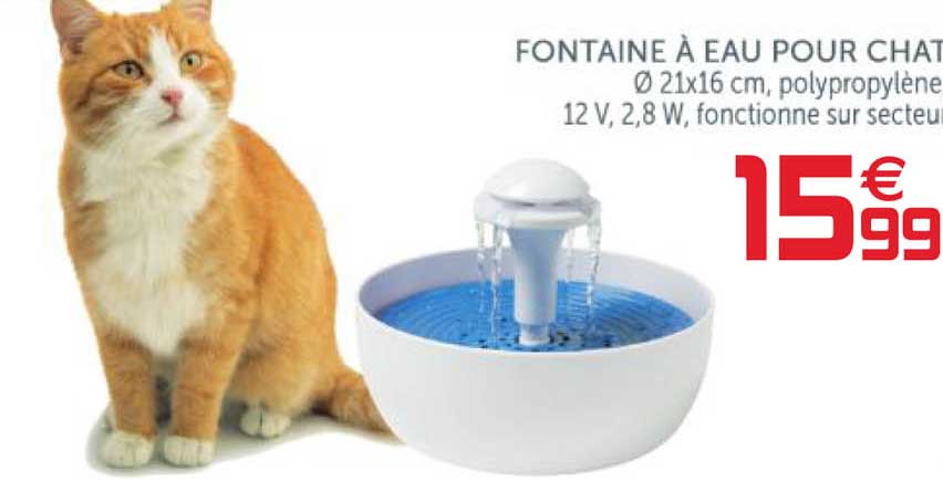Fontaine à Eau Pour Chat