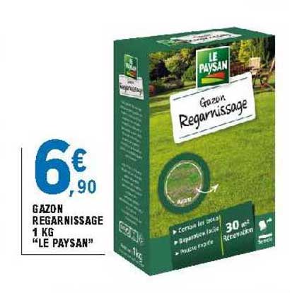 gazon regarnissage le paysan