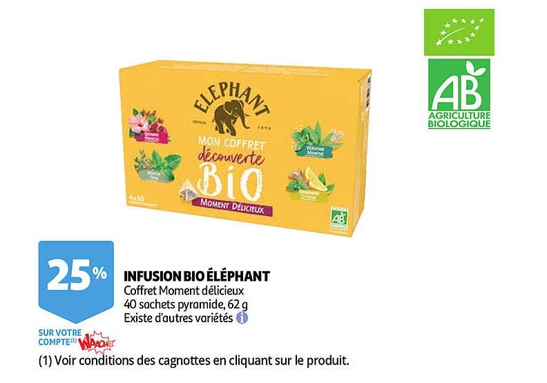 Infusion Bio éléphant