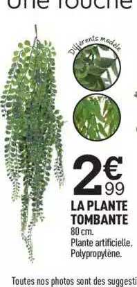 la plante tombante