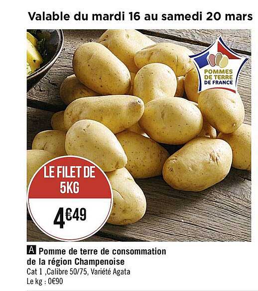 pomme de terre de consommation de la région champenoise