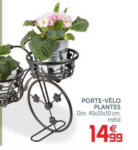 porte-vélo plantes