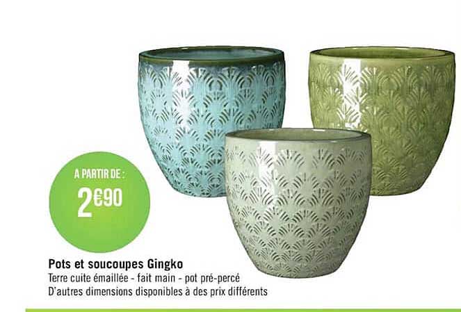 Pots Et Soucoupes Gingko