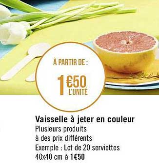 vaisselle à jeter en couleur