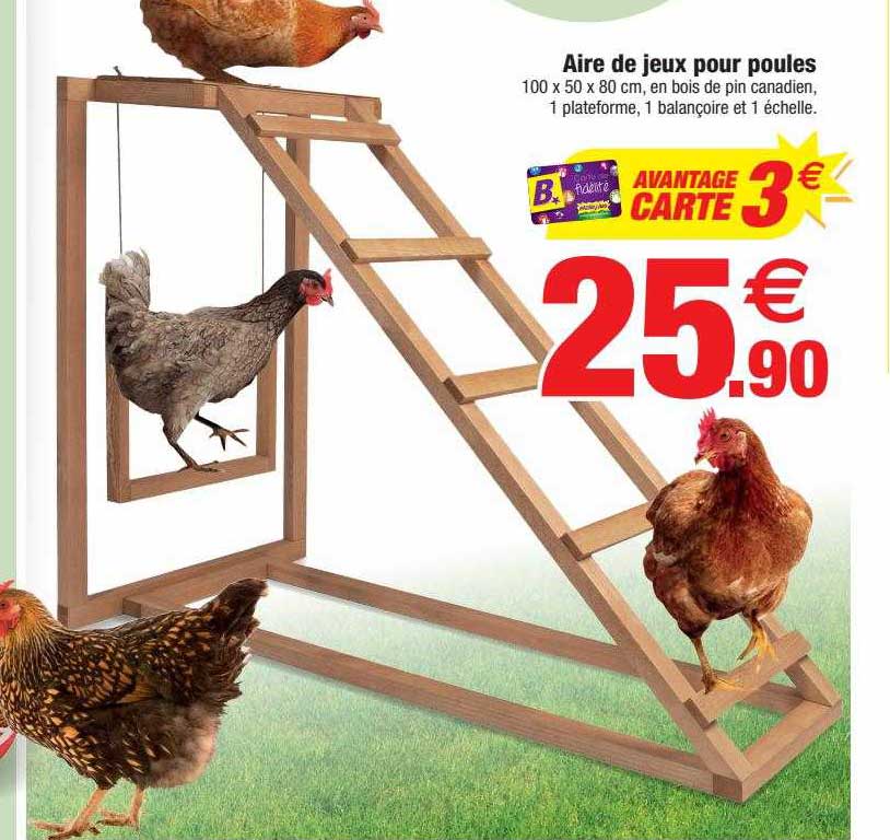 aire de jeux pour poules