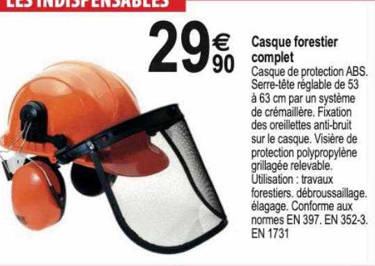 Casque Forestier Complet