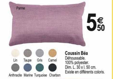 coussin béa