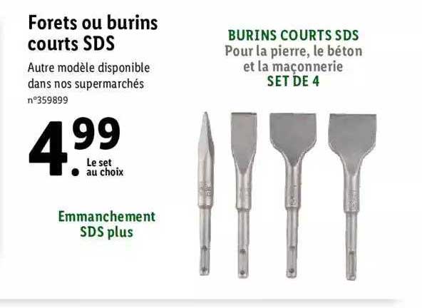 forets ou burins courts sds