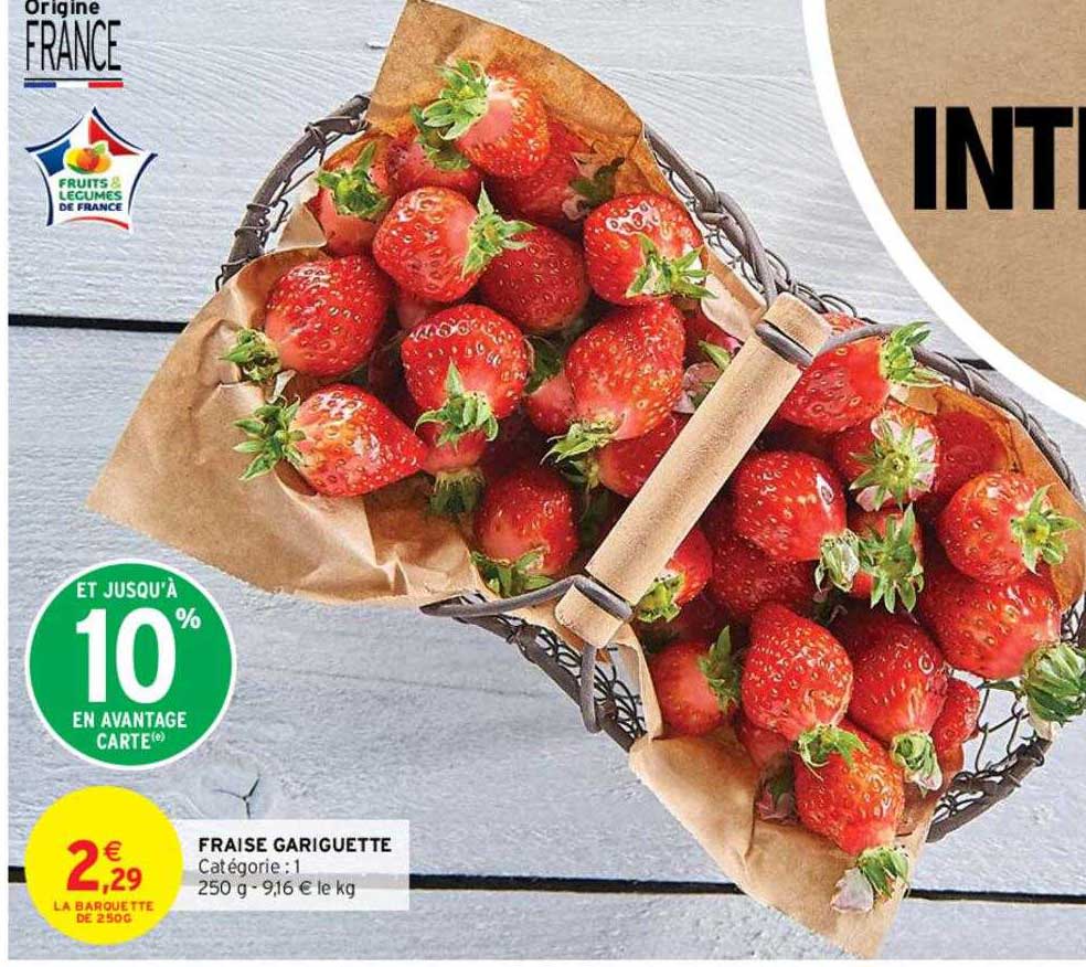 fraise gariguette