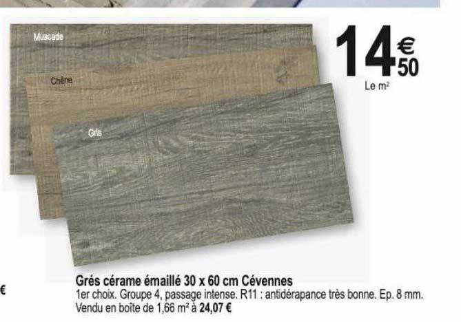 grés cérame émaillé 30 x 60 cm cévennes