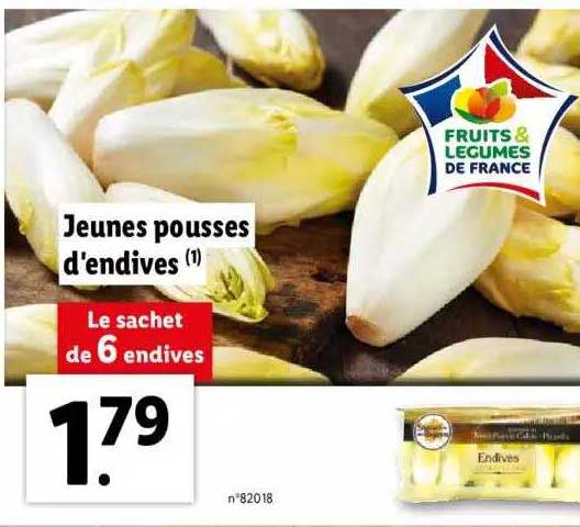 jeunes pousses d'endives
