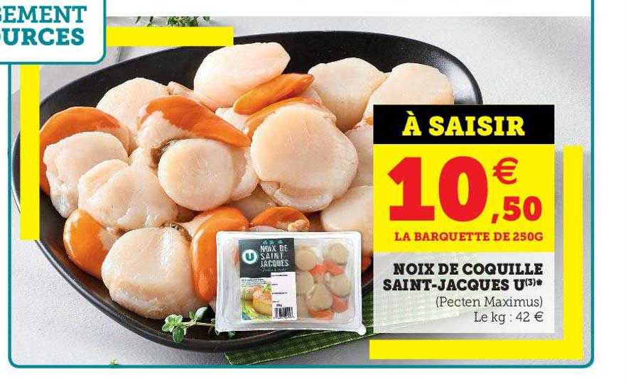noix de coquille saint-jacques u