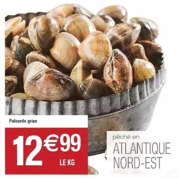 Palourde Grise