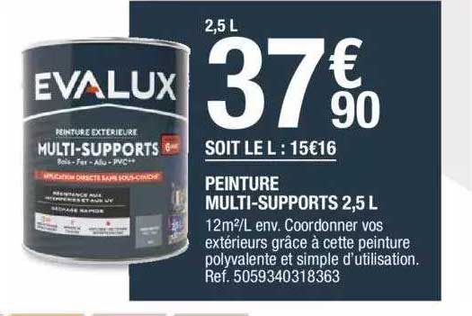 Peinture Multi-supports 2,5 L Evalux