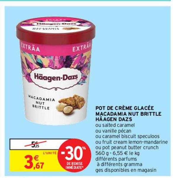 pot de crème glacée macadamia nut brittle häagen dazs