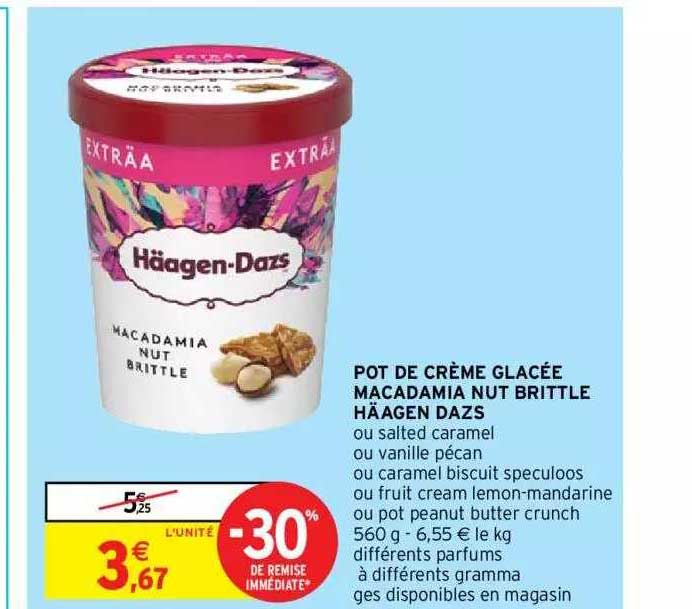 pot de crème glacée macadamia nut brittle häagen dazs