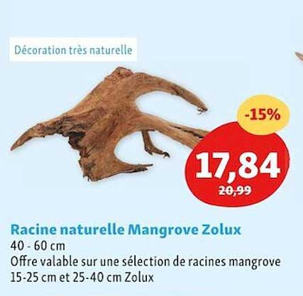 racine naturelle mangrove zolux