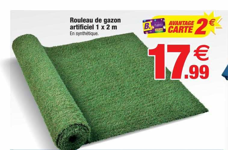 Rouleau De Gazon Artificiel 1 X 2 M