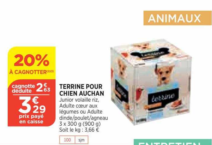 Terrine Pour Chien Auchan