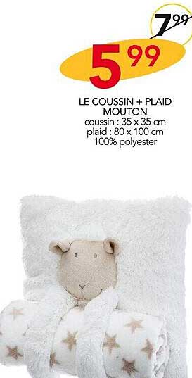le coussin + plaid mouton