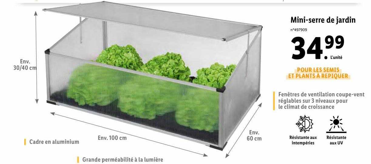 mini-serre de jardin
