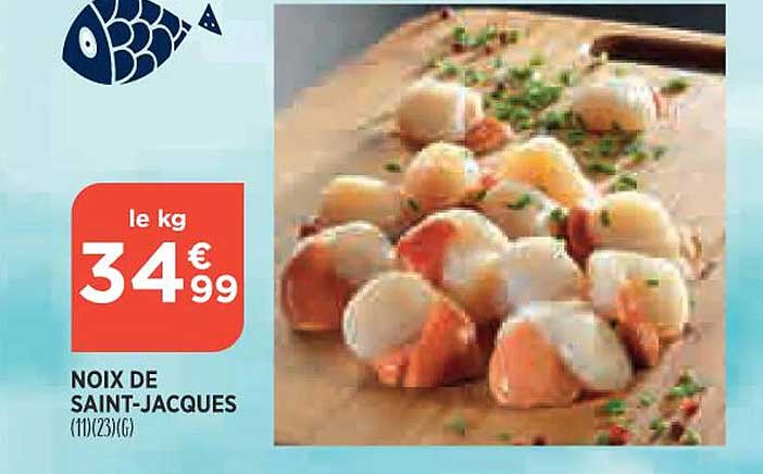 noix de saint-jacques