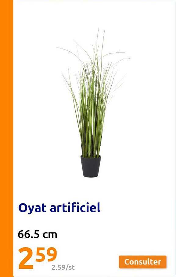oyat artificiel