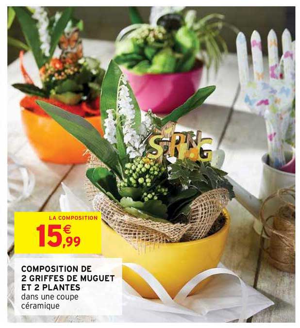 composition de 2 griffes de muguet et 2 plantes