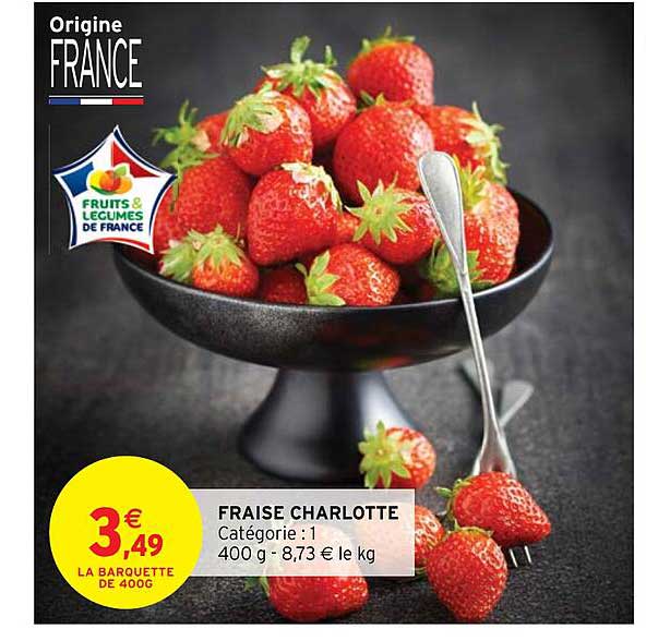 fraise charlotte