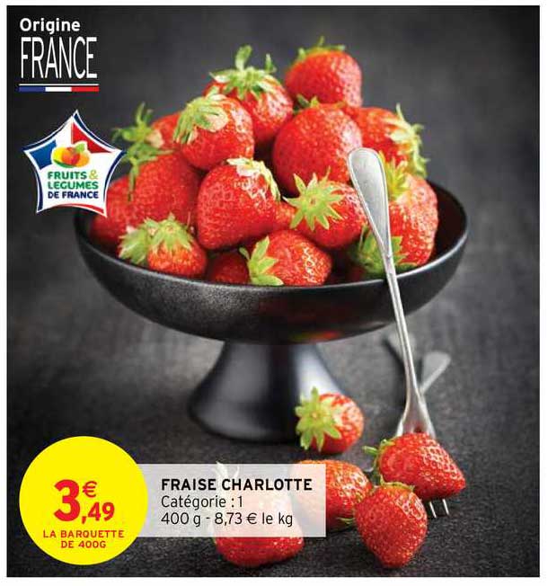 fraise charlotte