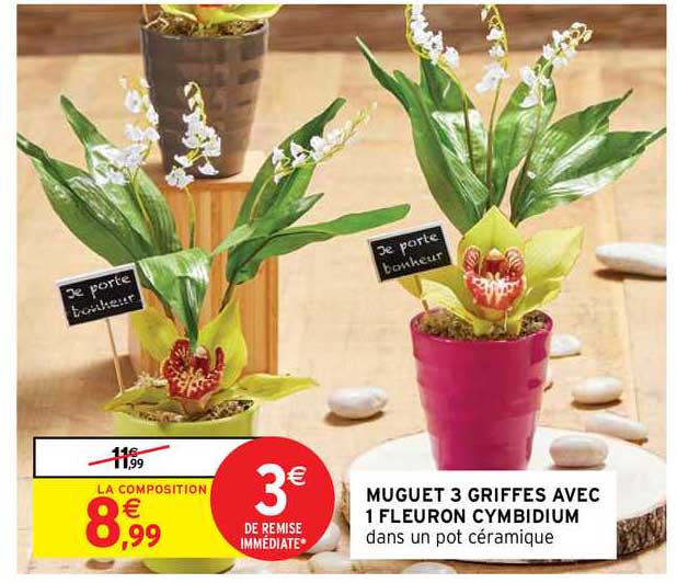 muguet 3 griffes avec 1 fleuron cymbidium