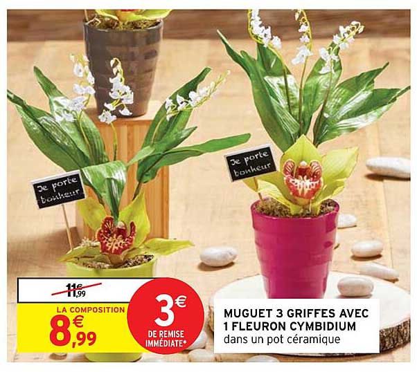 muguet 3 griffes avec 1 fleuron cymbidium