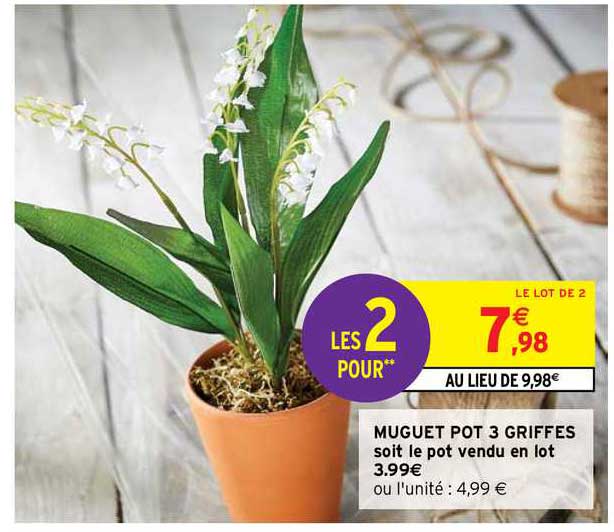 muguet pot 3 griffes