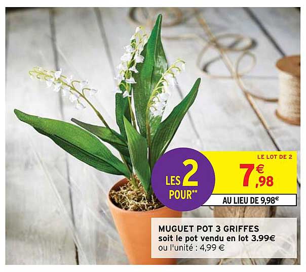 muguet pot 3 griffes