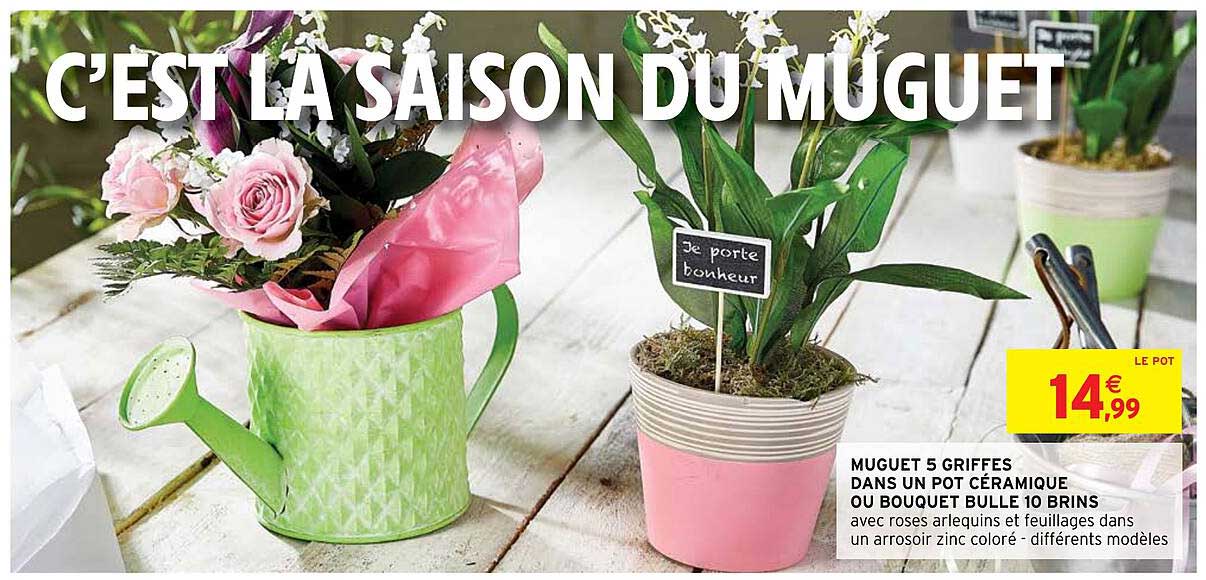 muguets 5 griffes dans un pot céramique ou bouquet bulle 10 brins