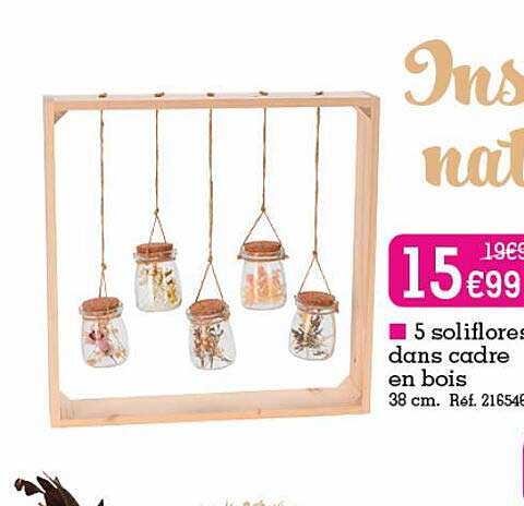 5 soliflore dans cadre en bois