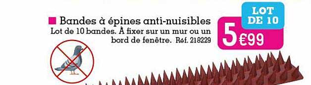 Bandes à épines Anti-nuisibles