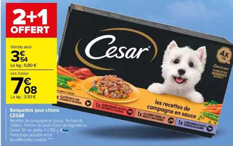 Barquettes Pour Chiens César
