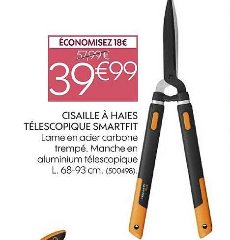 cisaille à haie télescopique smartfit