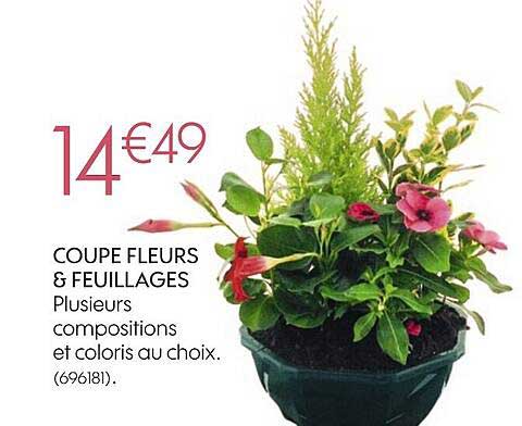 coupe fleurs & feuillages