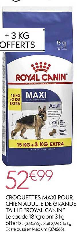 Croquettes Maxi Pour Chien Adulte De Grande Taille Royal Canin